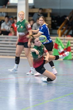 Bild 115 - F HSG Kremperheide/Muensterdorf - HSG Holstein Kiel/Kronshagen : Ergebnis: 31:26